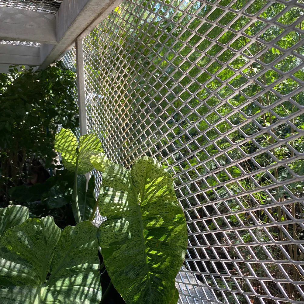 Petch Steel (6)_46_11zon