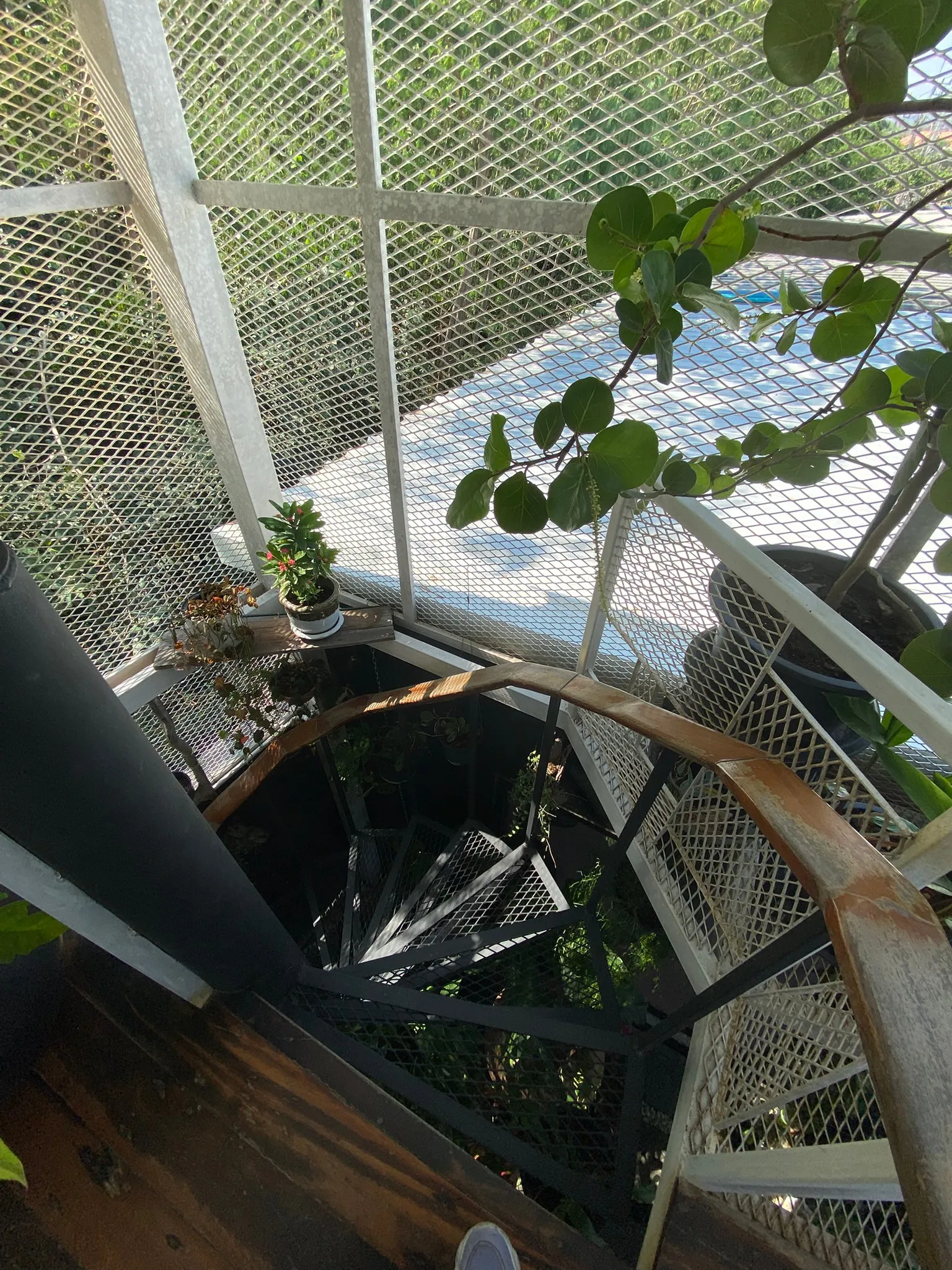 Revire-Petch steel (6)